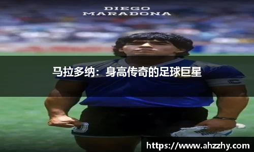 wm365完美体育官方网站