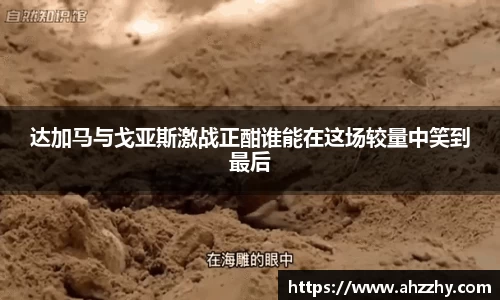 完美体育·(中国)官方网站-WM SPORTS