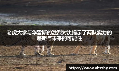 星空综合体育官网